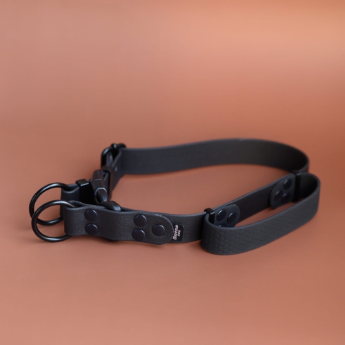 Obroża na zatrzask double lock 2,5 cm 38-50 cm z rączką