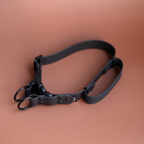 Obroża na zatrzask double lock 2,5 cm 38-50 cm z rączką