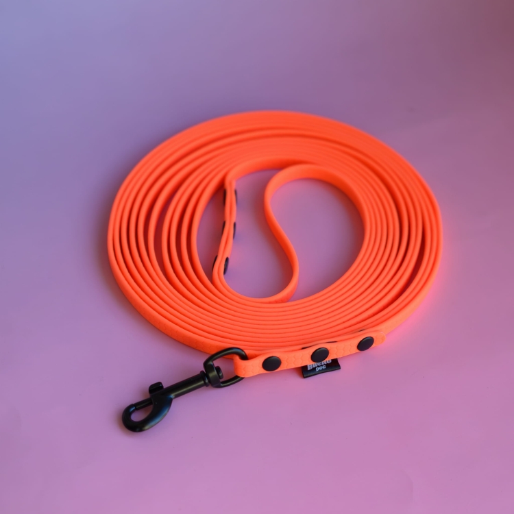 bueno dog-akcesoria-dla-psow-smycz-obroza-dla-psa--1051.jpg