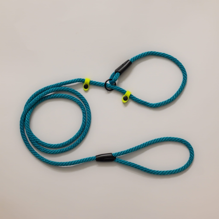 bueno dog-akcesoria-dla-psow-smycz-obroza-dla-psa--1067.jpg