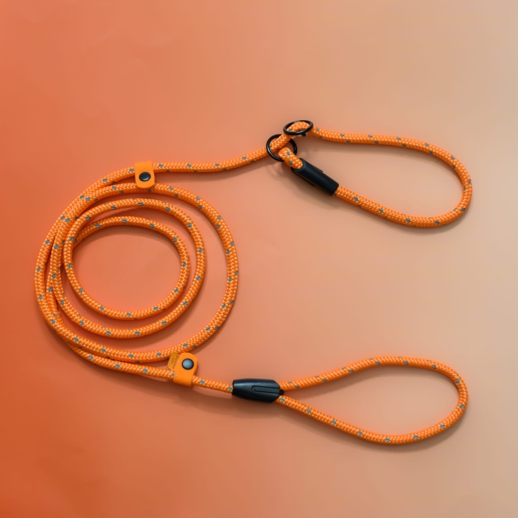 bueno dog-akcesoria-dla-psow-smycz-obroza-dla-psa--1070.jpg