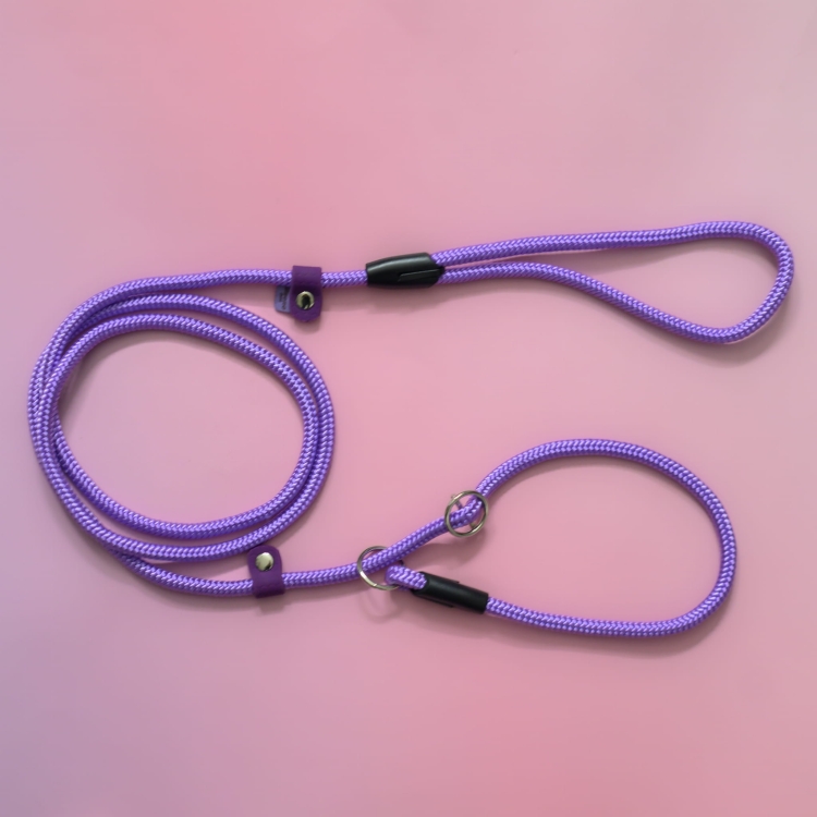 bueno dog-akcesoria-dla-psow-smycz-obroza-dla-psa--1069.jpg