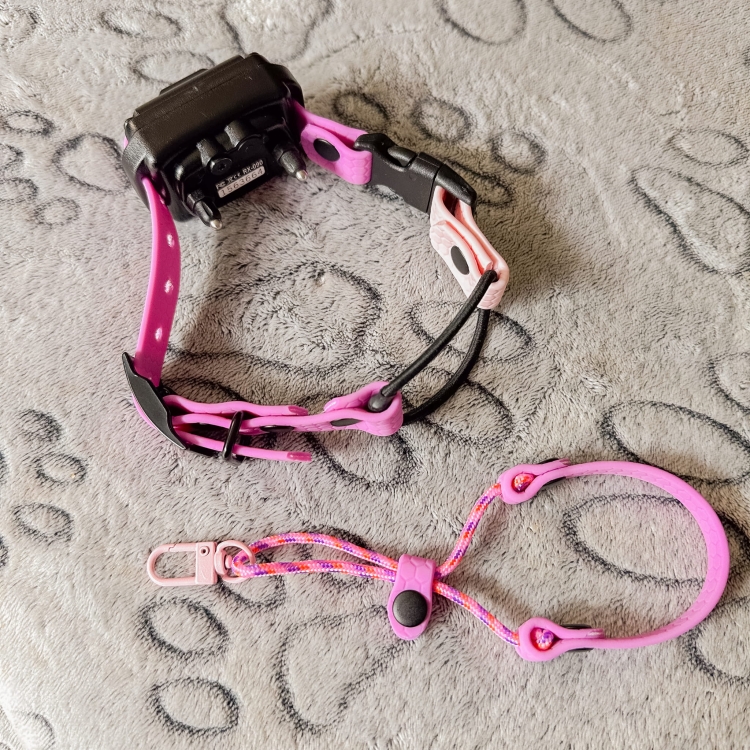 Pasek bungee e-collar 16mm na szyi psa – wodoodporny, idealny jako obroża znacznik
