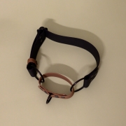 bueno dog-akcesoria-dla-psow-smycz-obroza-dla-psa--1101.jpg