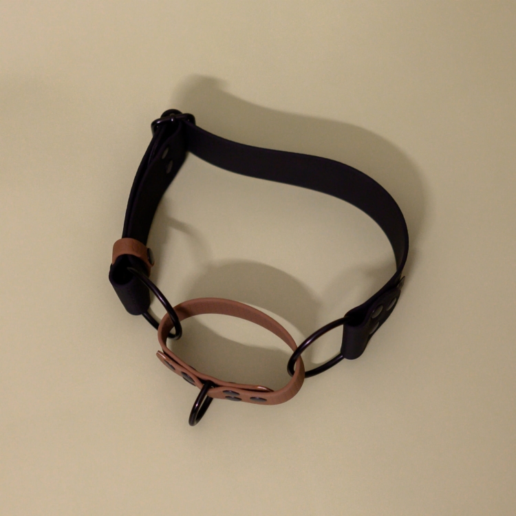bueno dog-akcesoria-dla-psow-smycz-obroza-dla-psa--1101.jpg