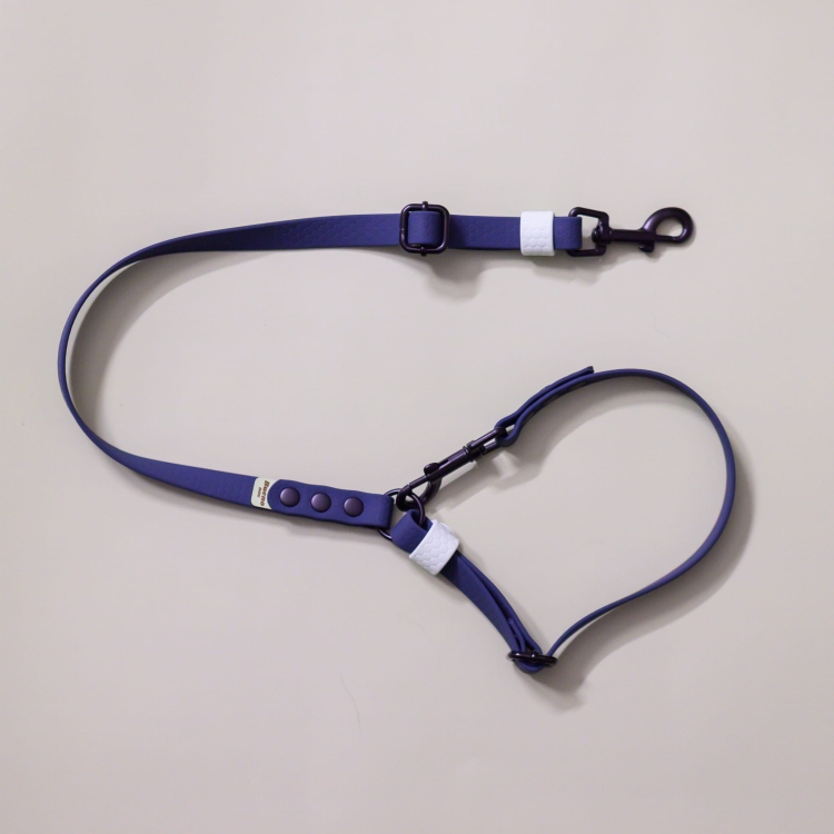 bueno dog-akcesoria-dla-psow-smycz-obroza-dla-psa--1097.jpg