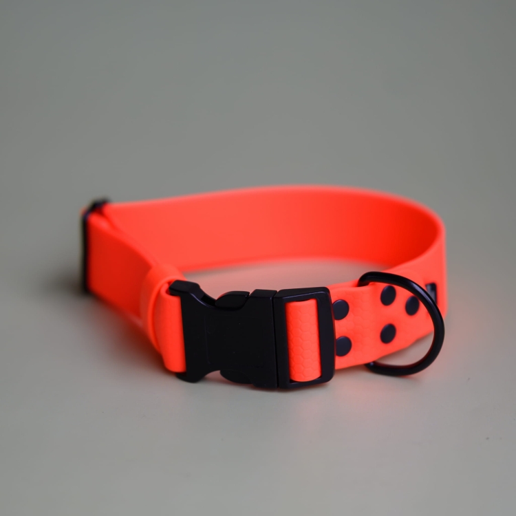 bueno dog-akcesoria-dla-psow-smycz-obroza-dla-psa--1231.jpg