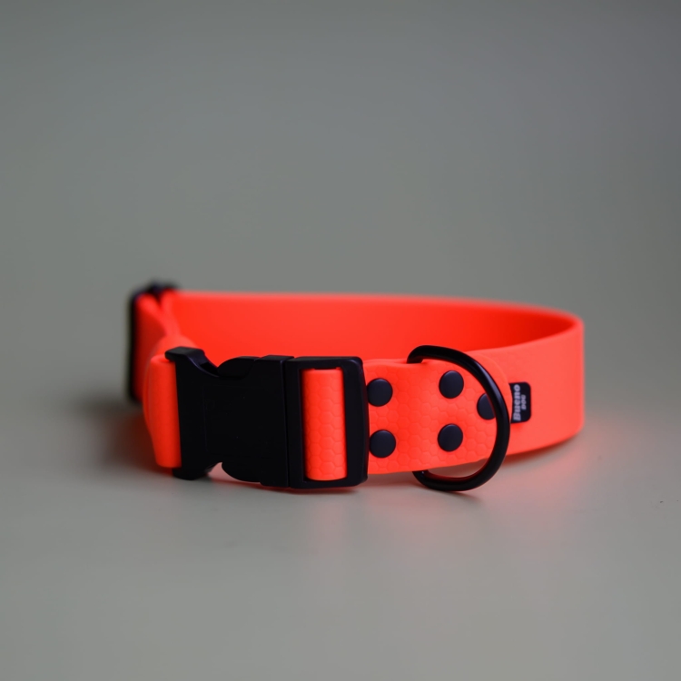 bueno dog-akcesoria-dla-psow-smycz-obroza-dla-psa--1232.jpg