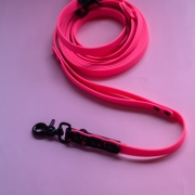 bueno dog-akcesoria-dla-psow-smycz-obroza-dla-psa--1229.jpg