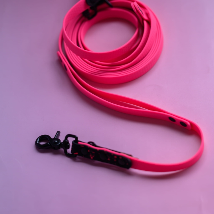 bueno dog-akcesoria-dla-psow-smycz-obroza-dla-psa--1229.jpg