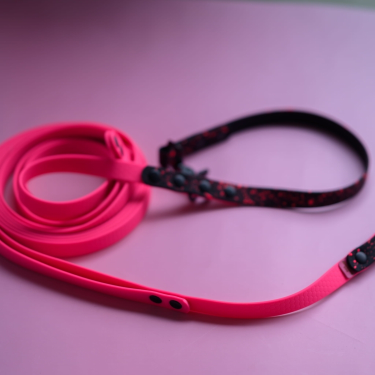 bueno dog-akcesoria-dla-psow-smycz-obroza-dla-psa--1228.jpg