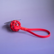 bueno dog-akcesoria-dla-psow-smycz-obroza-dla-psa--1223.jpg