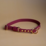 bueno dog-akcesoria-dla-psow-smycz-obroza-dla-psa--1234.jpg