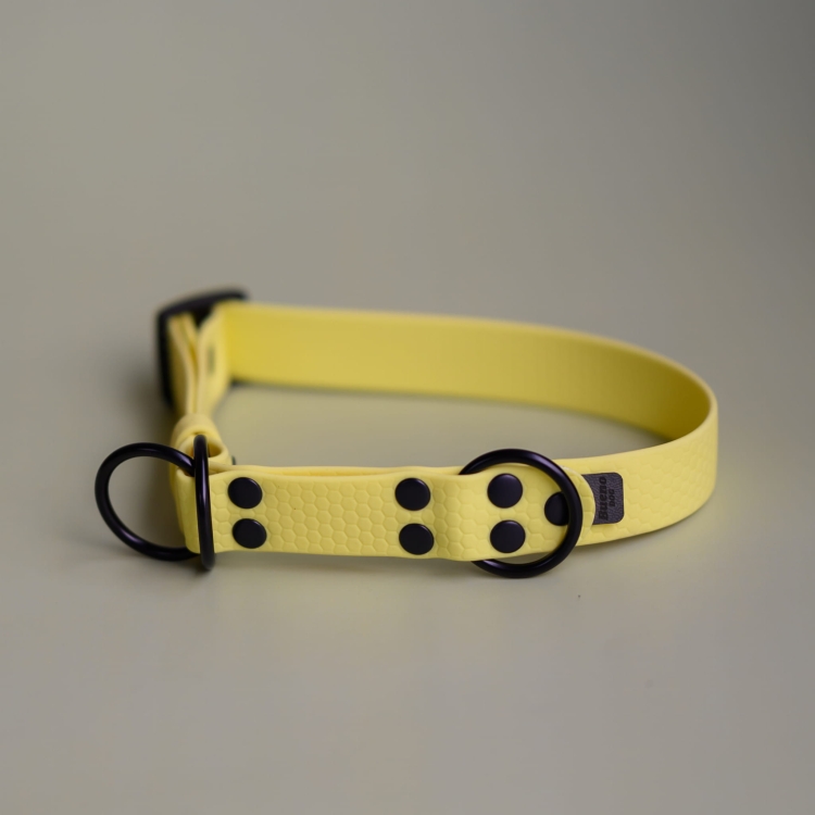 bueno dog-akcesoria-dla-psow-smycz-obroza-dla-psa--1233.jpg