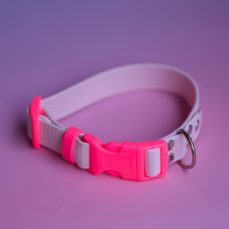 bueno dog-akcesoria-dla-psow-smycz-obroza-dla-psa--1238.jpg