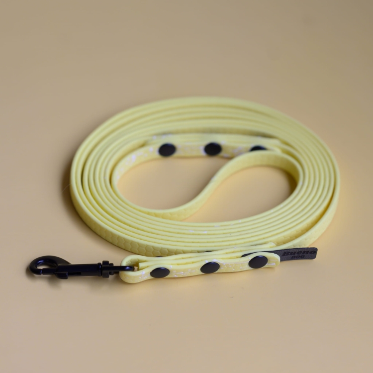 bueno dog-akcesoria-dla-psow-smycz-obroza-dla-psa--1240.jpg