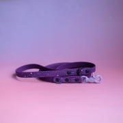 bueno dog-akcesoria-dla-psow-smycz-obroza-dla-psa--1213.jpg