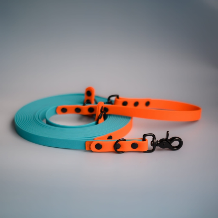 bueno dog-akcesoria-dla-psow-smycz-obroza-dla-psa--1175.jpg