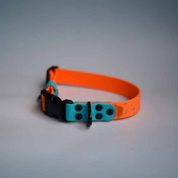 bueno dog-akcesoria-dla-psow-smycz-obroza-dla-psa--1177.jpg