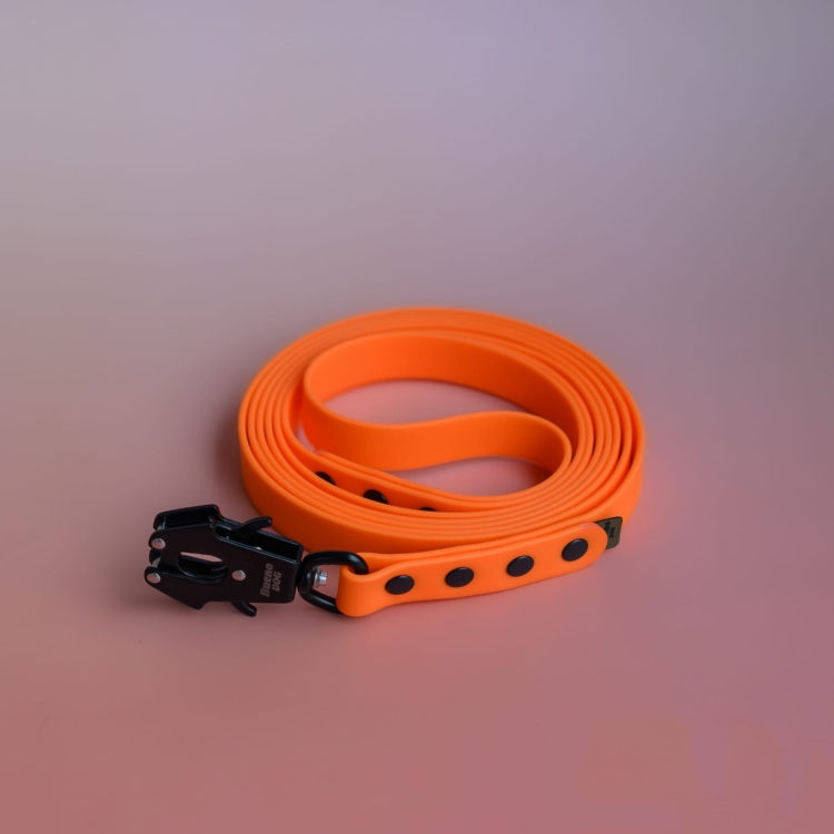 bueno dog-akcesoria-dla-psow-smycz-obroza-dla-psa--1132.jpg