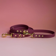 bueno dog-akcesoria-dla-psow-smycz-obroza-dla-psa--1054.jpg