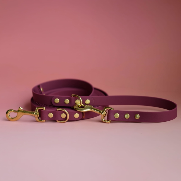 bueno dog-akcesoria-dla-psow-smycz-obroza-dla-psa--1054.jpg