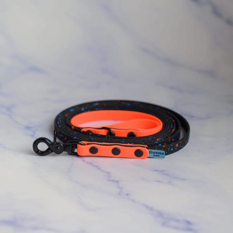 bueno dog-akcesoria-dla-psow-smycz-obroza-dla-psa--1204.jpg