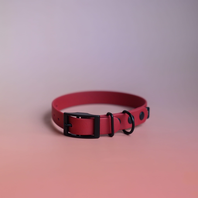 bueno dog-akcesoria-dla-psow-smycz-obroza-dla-psa--1206.jpg