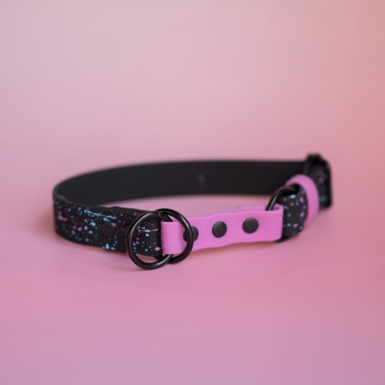 bueno dog-akcesoria-dla-psow-smycz-obroza-dla-psa--740.jpg