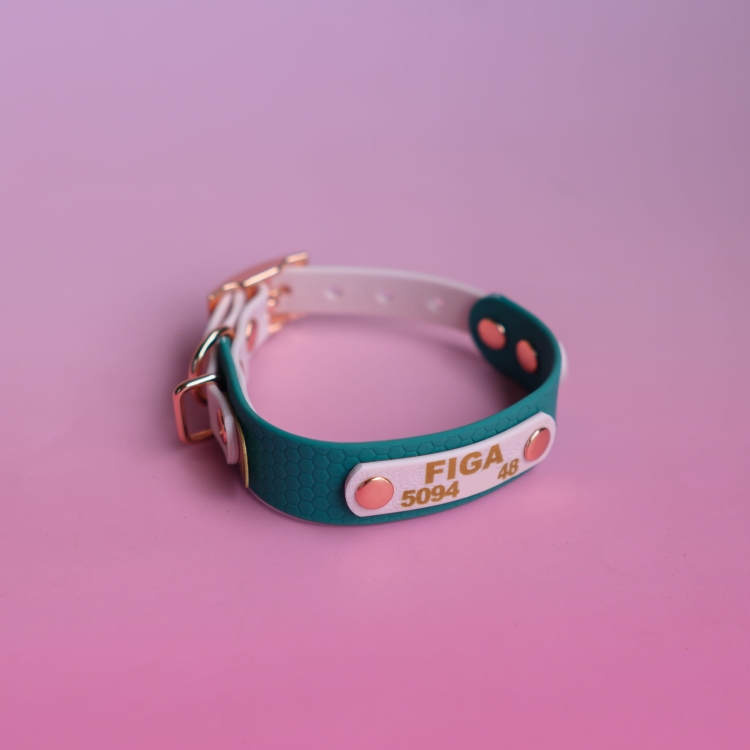 bueno dog-akcesoria-dla-psow-smycz-obroza-dla-psa--1131.jpg