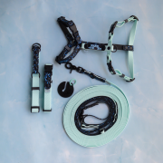 bueno dog-akcesoria-dla-psow-ssmycz-obroza-dla-psa--1110.png