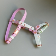 bueno dog-akcesoria-dla-psow-smycz-obroza-dla-psa--1095.jpg