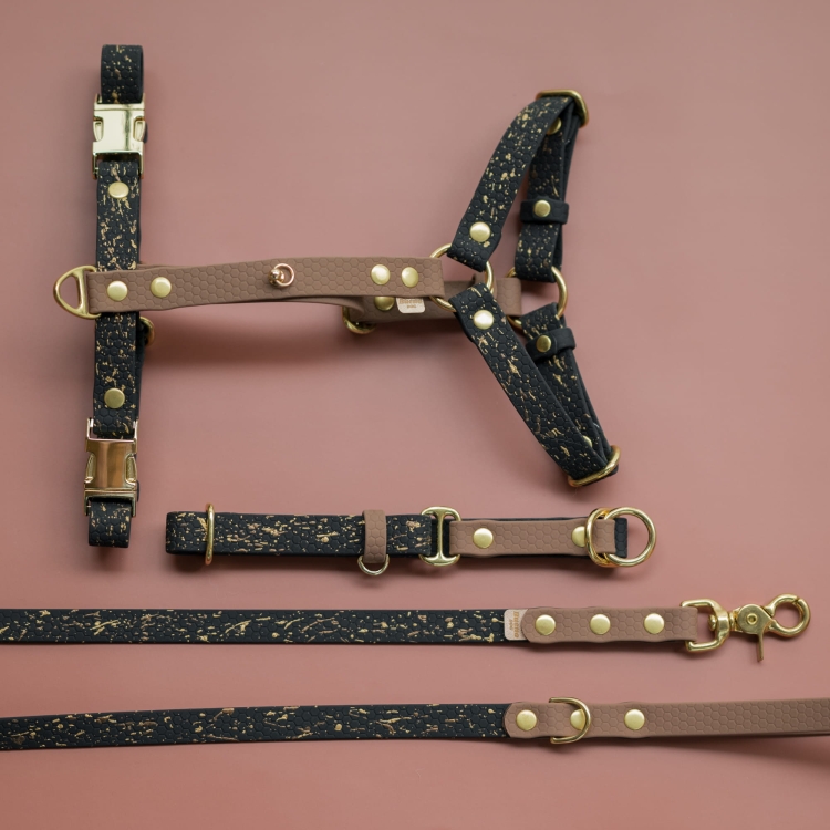 bueno dog-akcesoria-dla-psow-smycz-obroza-dla-psa--409.jpg