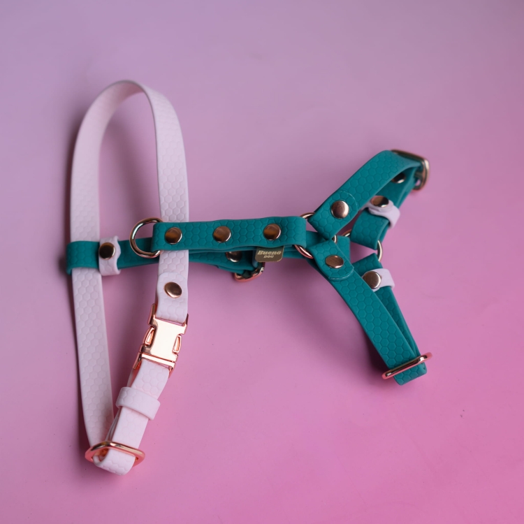 bueno dog-akcesoria-dla-psow-smycz-obroza-dla-psa--1130.jpg