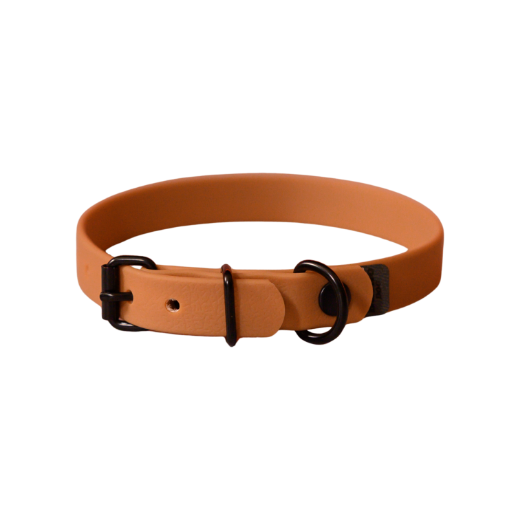 Projekt bez nazwy (29).png