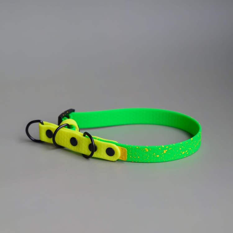 bueno dog-akcesoria-dla-psow-smycz-obroza-dla-psa--1254.jpg
