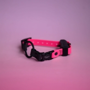 Pasek do obroży elektrycznej bungee, wymienny pasek do OE e-collar educator dogtra dogtrace