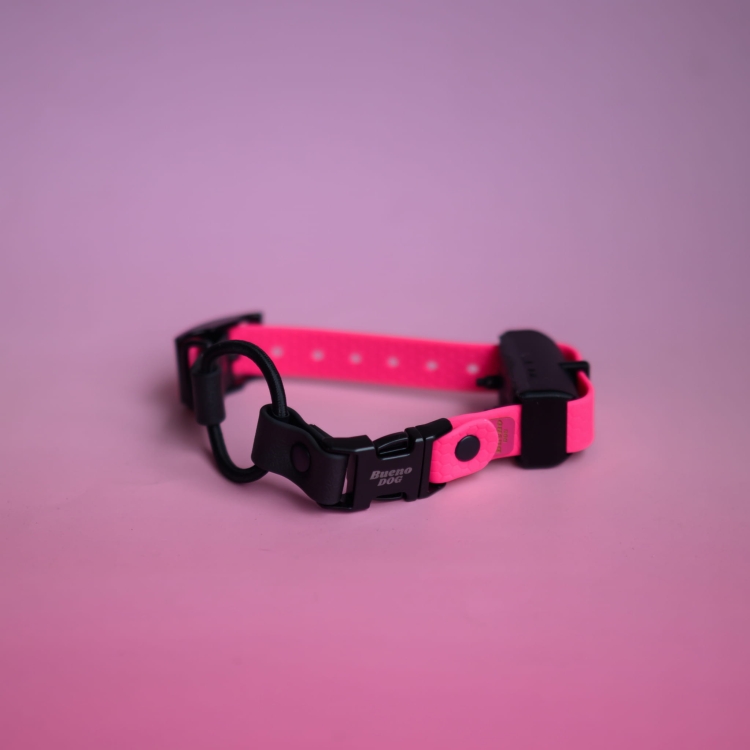 Pasek do obroży elektrycznej bungee, wymienny pasek do OE e-collar educator dogtra dogtrace