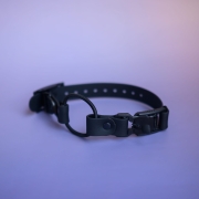 Pasek bungee e-collar z taśmy hexa plaster miodu w dwóch kolorach z metalowymi okuciami