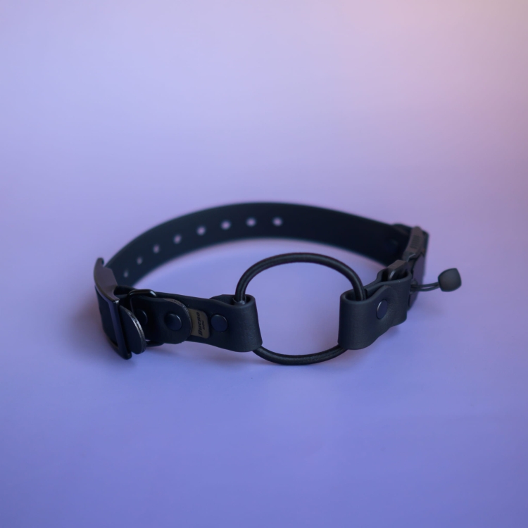 Personalizowany pasek wymienny do obroży elektrycznej 20mm — wybór kolorów taśmy Bueno DOG