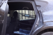 tabliczka dla psa do transportu w luku bagażowym, trensport psa samolotem, tabliczka identyfikator dla psa z danymi właściciela