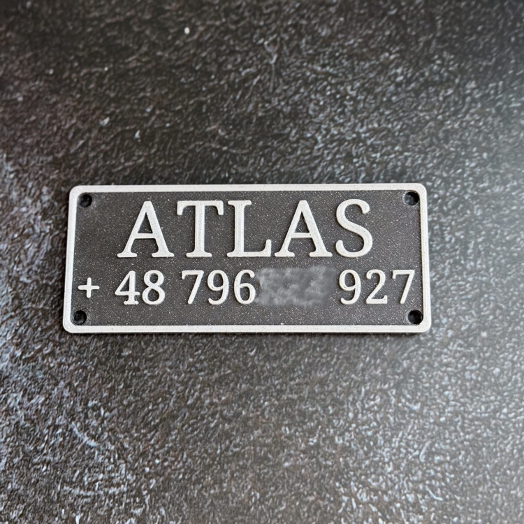 Airline cargo carrier with personalized dog tag — name and phone number plate
