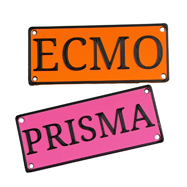Personalized dog name plate with custom text — Bueno DOG