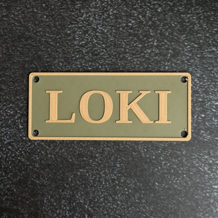 Custom name tag on airline-approved travel carrier — dog identification for flights