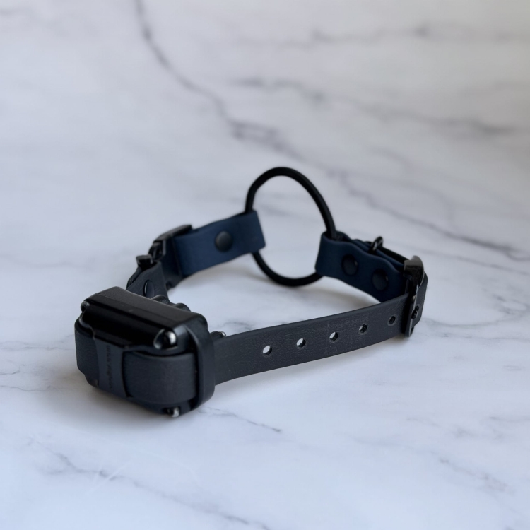 Klamra zatrzaskowa paska bungee e-collar umożliwiająca szybkie zakładanie i zdejmowanie