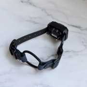 Handmade pasek do obroży elektrycznej bungee tworzony na wymiar w pracowni Bueno DOG we Wrocławiu
