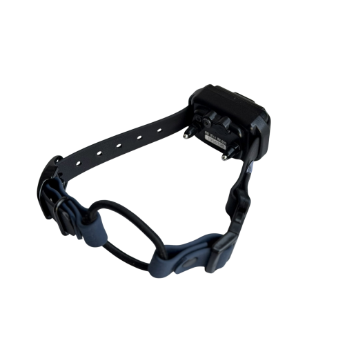 Pasek do obroży elektrycznej bungee ze sprzączką i zatrzaskiem – grafika produktowa Bueno DOG