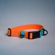 bueno dog-akcesoria-dla-psow-smycz-obroza-dla-psa--1176.jpg