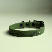IMG_5920.jpeg