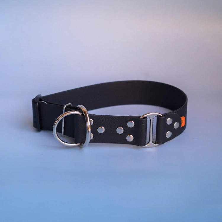 Czarna obroża półzaciskowa Bueno DOG Smooth 40 mm ze srebrnymi nitami i kółkami